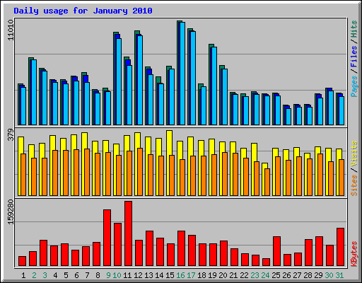 Daily usage for January 2010