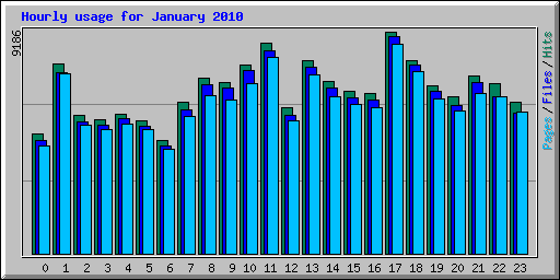 Hourly usage for January 2010
