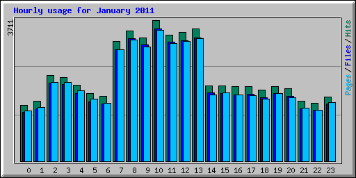 Hourly usage for January 2011
